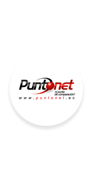 puntonet 1