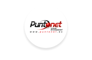 Logo de Puntonet